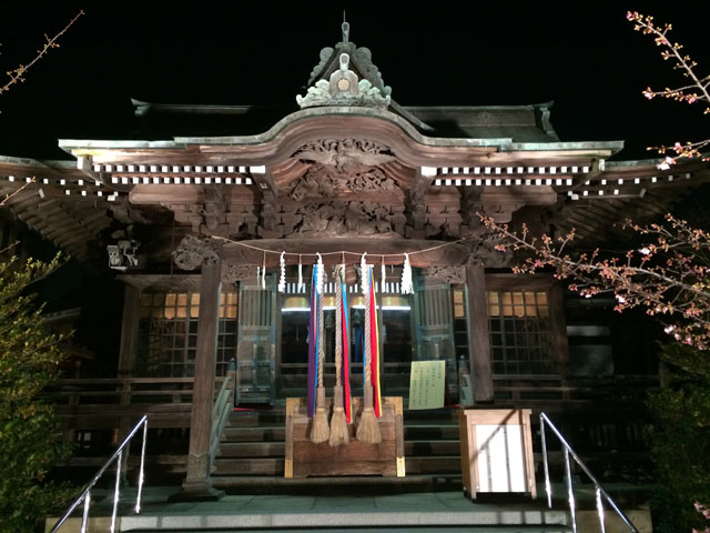 桜神宮1